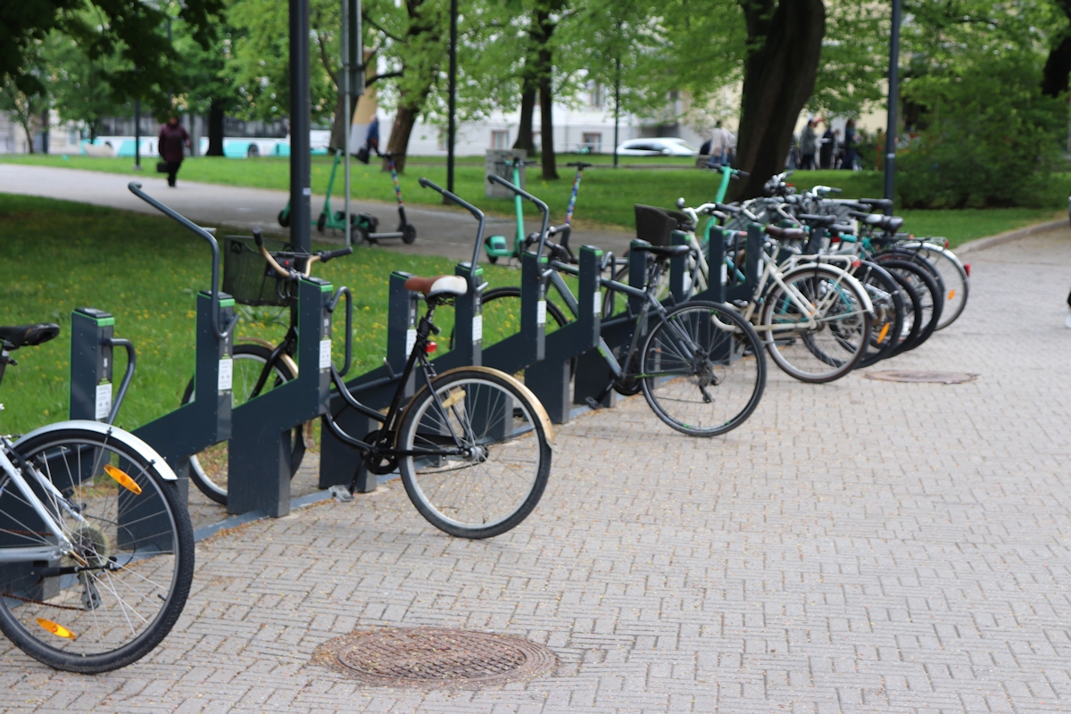 stojaki rowerowe w parku